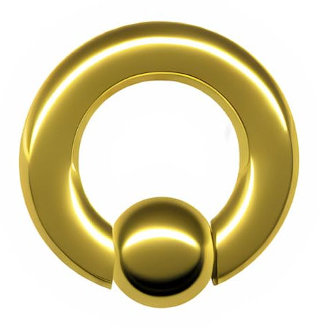 Generisch XL XXL 3-8mm Klemmkugel-Ring Klemmring DICK GROSS CHIRURGEN-STAHL 316L EDELSTAHL Nase Ohr Intim Brust BCR Piercing Segmentring (5mm x 16mm x 8mm, Gold Gelbgold golden)