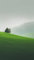 Acryl-Bild 50 x 90 cm: Einsamer Baum auf einem grünen Feld an einem nebligen Tag (201397069)