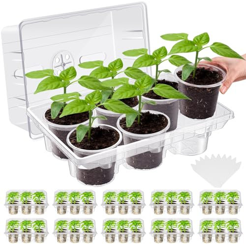 Vesici 10 Pack Seed Starter Tray Kit Seedling Starter Trays with 60 Pcs 4 Inch Nursery Pots and Humidity Dome (60 Cells) Mini Greenhouse Plant Germination with Labels for Garden(Clear)