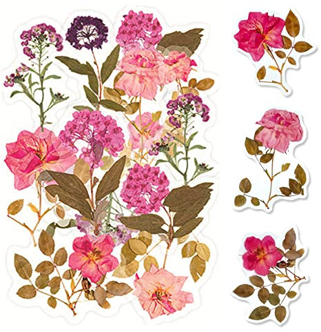 ExceLife Large Size Flower Plants Scrapbook Stickers, Self-Adhesive Vintage Plants Flowers Leaves PET Transparent Stickers DIY Crafts for Laptops Card Making Junk Bullet Journal Planner, Pink
