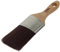 Coral 31753 Aspire 2 inch Paint Brush Professional Firm Angled Cut with Oval Stubby Short Profile for Fast Accurate Cutting-in Ultra-Smooth Finish with Trade Emulsion or Gloss FSC Wood Handle