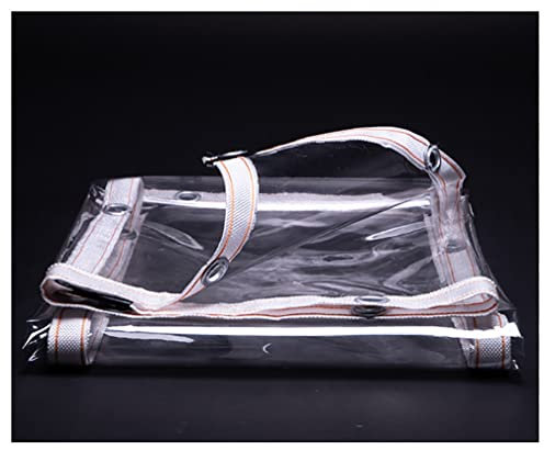 WAPKY Bâche Étanche Multi-Usage en Polyéthylène, Bâche en Plastique pour Serres Et Jardins Bâche Armée Couverture De Feuille Protection Contre Le Froid (Color : Clear, Size : 1x1m)