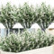 Homcomodar Artificial Flowers UV Resistant Outdoor Plants 12 Bundles Fake Plastic Lavender Outdoor Plant Bush Faux Shrubs for Garden Yard Shelf Hanging Decoration(White)