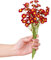 duoyif Crisantemo Artificiale 6 Pezzi Fiori Artificiali In Primavera Fiori Artificiali Cimitero Bouquet Di Crisantemo Artificiale Fiori Finti Per Bouquet Da Sposa Ufficio Home Decor (Rosso)