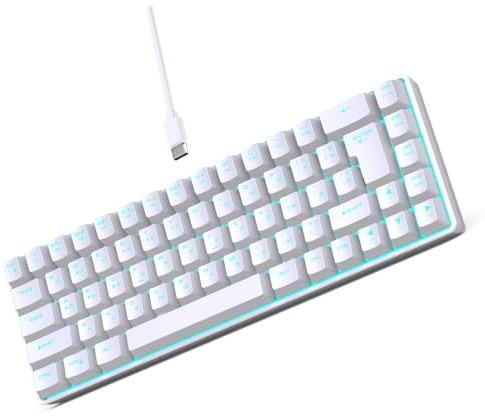 SUNGOOYUE Kabelgebundene Tastatur, Russisch/Englisch, Zweisprachig, 68 Tasten, Mechanische Gaming-Tastatur mit 18 Hintergrundbeleuchtungsmodi für Laptop-PC (White)