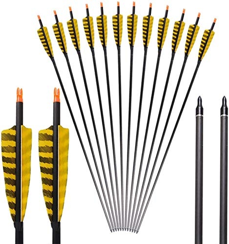 PMSM 12er Pfeil für Bogenschießen Black Carbonpfeile ID 6.2 mm mit 4 Zoll naturfeder Profi für Outdoor Bogensport Recurvebogen traditionellen Langbogen und Compoundbogen (Gelb Schwarz)