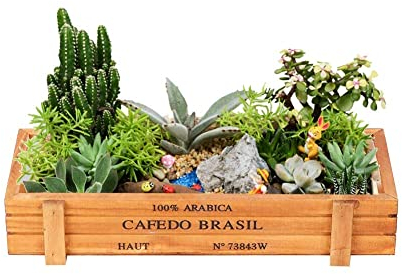 Hapivida Jardiniere en Bois, 22,5 x 9 x 4,4 cm Mini Succulents Pots Rectangulaire pour Petites Plantes Cactus Fleurs Pots pour Jardin Balcon Maison Décoration(Brun)