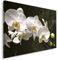 Feeby Impression Sur Toile Orchidée Fleurs 50x40 cm Tableaux Tableau Mural Image Moderne Photo Décoration Murale Artistique Photographie Design Chambre Salon Cuisine Macro Noir Et Blanc