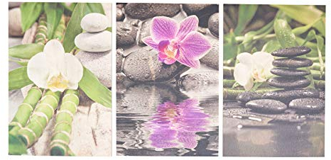 levandeo 3er Set Wandbild je 20x30cm Holz Birkenholz Orchideen Bambus Holzbild Wellness Wanddekoration