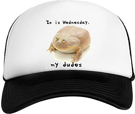 It is Wednesday My Dudes Weiß Schwarz Unisex Kinder Baseball Cap Kids White Black