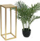 DanDiBo Blumenhocker Metall Gold Eckig Blumenständer Beistelltisch 96506 Blumensäule Modern Pflanzenständer Pflanzenhocker (50 cm)