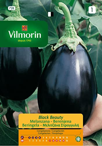 Semillas de BERENJENA BLACK BEAUTY S-1, 3 gr