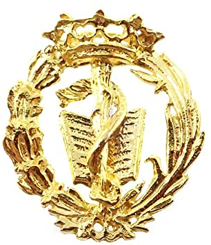 Insignia profesional Medicina escudo plata 925m Ley 19mm. pin chapado oro cierre trasero latón
