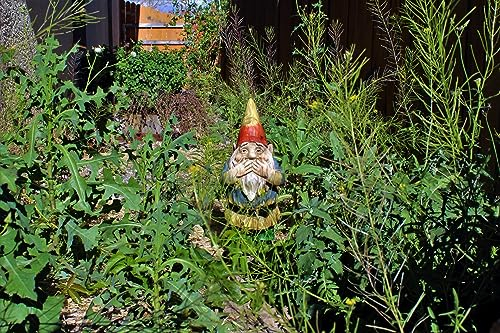 50 qm Unkrautsamen schnell wachsend als Geschenkidee oder für den eigenen Garten Brennessel Löwenzahn Klee Kümmel wundervoll wuchernde Wildpflanzen. 13.600 Samen