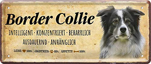 WOGEKA ART Retro Blechschild - Border Collie Hund Steckbrief Dog - witziger Spruch als Geschenk-Idee zum Geburtstag Weihnachten zur Dekoration 28x12 cm Vintage-Design Metall 1327