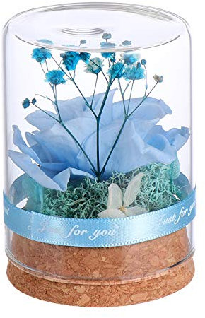 Yardwe Preserved In Glass Dome Everlasting Artificial Bonquets Valentines Day Blue