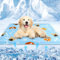 kudmwcc Kühlmatte für Hunde & Katzen,50 X 40cm Kühlmatte Hunde,Selbstkühlende Hundematte,Kühldecke Hundebett Für Kleine Grosse Hunde,Dog Cooling Mat für Zuhause Unterwegs Oder im Auto