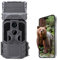 Wosports Wildkamera WLAN mit Handyübertragung App,1296P HD Wildtierkamera mit 7800mAh Solarbatterie,33MP Nachtsichtkamera, 0,1 s Auslösegeschwindigkeit,IP66 Wasserdicht Wild Kamera mit 32GB SD Karte