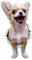 Winston & Bear 3D Hund Aufkleber - 2er-Pack - aufgeregt Chihuahua für Wand, Kühlschrank aufgeregt Chihuahua Hund Aufkleber