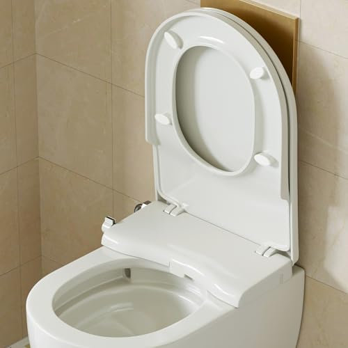 Abattant de WC avec fonction bidet, embout de bidet, sans raccordement électrique, couvercle de toilette avec système d'abaissement automatique, siège de toilette avec deux buses pour douche arrière