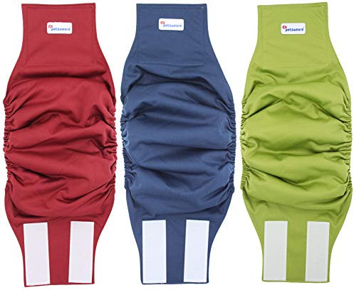 Petsweare Wasserdicht Saugfähigkeit Waschbare Robuste Wiederverwendbare Hundewindeln Inkontinenzunterlage für Männlichen Welpe und Hunde 3 Pack (Medium, Grün-Rot-Blau)