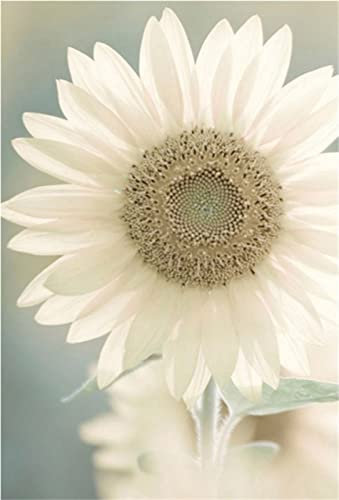 Diamond Painting, DIY Kinder Diamant Painting Bilder, Pflanze Blume 5D Erwachsene Groß Vollbohrer Diamant Malerei Cross Stickerei Malerei Kits, für Wohnwand Wand Dekoration Geschenk 70x100cm