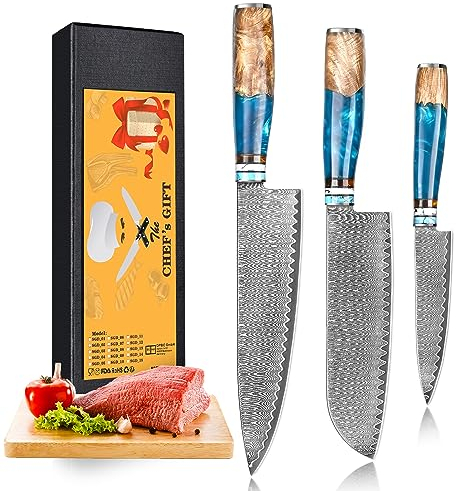 oFuun Set Cuchillo Cocina 3 Piezas, 67 Capas de Acero de Damasco Profesional Juegos de Cuchillo de Cocinero, Cuchillo Chef Santoku Universal con Mango Resina Azul