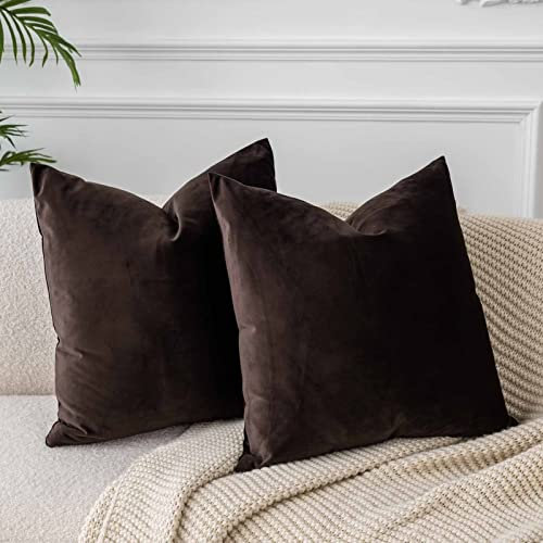 JUSPURBET Kaffee Samt-Kissenbezüge 40cmx40cm 2er-Set für Wohnzimmer Couch Sofa Schlafzimmer Dekorative Quadratische Feste Weiche Kissenhüllen mit unsichtbarem Reißverschluss
