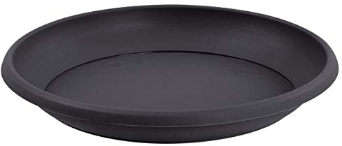 EDA Marina 20cm Soucoupes pour Pots de Fleurs, Gris Béton