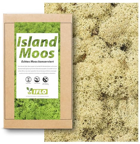 Moos zum Basteln - Island Moos - 100g Echtes Moos konserviert, Deko Moos Sets konserviertes Moos Ostern Deko islandmoos, moosbild, mooswand, Moos deko Terrarium Moss (Natur)