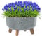MELTOM Blumentopf Schale mit Füßen Einsatz Blumenschale Kräutertopf Übertopf (Grau Beton, L+ 39cm)