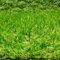 Tadi & Imperio1979 Rolle Kunstrasen, Teppich für Terrasse oder Garten, 20 mm Höhe, (100 x 400 cm)