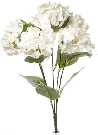 Flower Fantasy ARPIMEX ARPIMEX Bush 6 Ortensie Innevate Natale 48 Cm Bianco