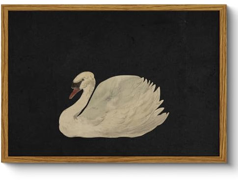 ARPEOTCY Framed Wall Art for Living Room, Vintage Swan Canvas Wall Art Bedroom Animals Kitchen Wall Decor Gifts for Mom, Aesthetic Wall Decor for Bedroom Office, Size A4 (21x29 cm)