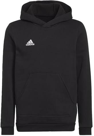 adidas Unisex Kinder Entrada 22 Sweat Hoodie, Black, 140