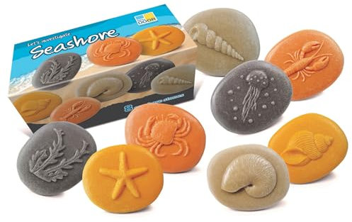 Yellow Door Let’s Investigate Seashore | Early educational learning |STEM| fossil seaside kit | kids age 2,3,4,5 | water play | sand play | ocean play |messy play | Outdoor shell, crab, jellyfish toys