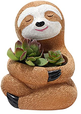 Générique Faultier, Pflanzgefäß für Tiere in Sukkulenten, , kleine Töpfe für alle Arten von Sukkulenten, Kakteen, Blumen