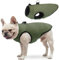 SCENEREAL Winter-Hundeweste mit integriertem Geschirr, warme Welpenjacke für kleine und mittelgroße Hunde, Kaltwettermantel mit Reißverschluss, Fleece-Pufferweste, winddichte Schneekleidung