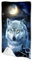 FABTOP Wolf Strandtuch Groß 90x180 cm Schnelltrocknendes Mikrofaser Badetuch Handtuch 3D Tier Wolf Motiv Strandtücher XXL Handtücher Kinder Jugend (1,50 x 100 cm)