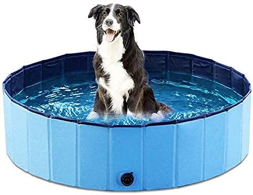 Dog Paddling Pool PVC Foldable Big Pet Dog Cat Swimming Pool Portable Collapsible Non-Slip Puppy Bathing Tub Kiddie Pool Indoor for Garden Patio Bathroom Outdoor (XL: D63x H12（160cmx30cm）)