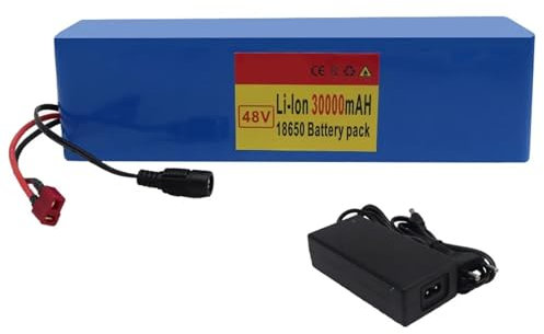 48 V 30 Ah 13S3P E-Bike Lithium-Ionen-Akkupack mit Ladegerät Eingebauter BMS-Schutz Ideal für 200-1000 W Elektrofahrradmotor XT60 Plug