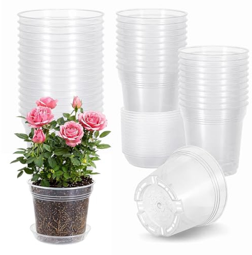30 Stück Orchideentopf mit Ablauflöchern, Durchsichtige Anzuchttöpfe | Kunststoff verdickt mit Untersetzer, 15x4 & 15x5, für Orchideen Sukkulenten Setzlinge Indoor