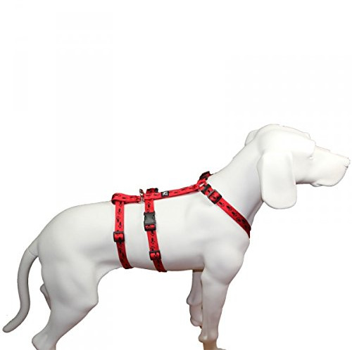 Hoffmann No Exit ausbruchsicheres Hundegeschirr für Angsthund, Sicherheitsgeschirr für Pflegehunde, Panikgeschirr, rot mit schwarzen Pfötchen, Bauchumfang 35-50 cm, 15 mm Bandbreite