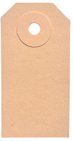 BT-Label 1000 Anhängeschilder 30 x 60 mm mit Loch (verstärkte Kartonöse), als Warenanhänger, Kartonanhänger, Anhängezettel, Papier-Anhänger, Tags, Karton-Etiketten