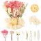 LAUMOE Trockenblumen, Getrocknete Blumen, Trockenblumen Zum Basteln Klein ​für Kunst DIY Harz Scrapbooking Handwerk Karten Machen (Stil 6)