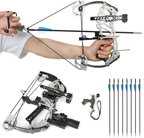 Bogenschießen Compound Bogen und Pfeil Set, 15-32lbs Compoundbogen Erwachsene Jagdbogen Compoundbogenset für Outdoor Bogen Jagd (Typ 2)