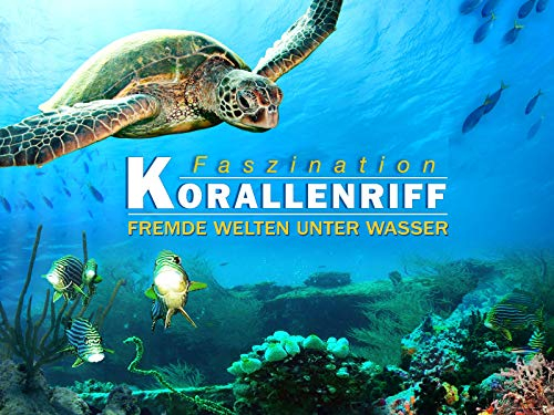 Fremde Welten unter Wasser