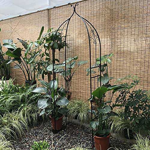 JKGHK Stylish Metal Garden Arch,Half Garden Arches,Small Climbing Plants Pergola Arbor,Rose Arch For Indoor/outdoor Use Decoration,Easy To Assemble (Color : Black, Size : 80CM/31.5IN)