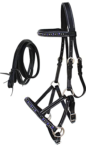 Challenger Pferd Western Leder Blau Strass Gebisslos Sidepull Zügel 77RS04RB