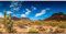 AWERT 91,4 x 45,7 cm Reptilien-Habitat-Hintergrund, blauer Himmel-Oasis, Kaktus, Wüstenterrarium, Hintergrund aus strapazierfähigem Polyester